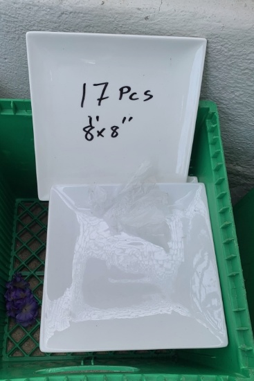 8x8" Square Plates
