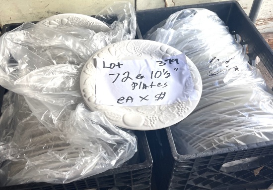 10 1/2" Plates