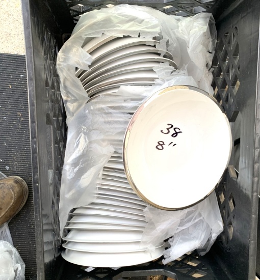 8" Plates