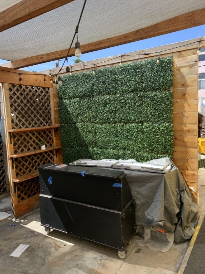 10x10' Grass Back Screen