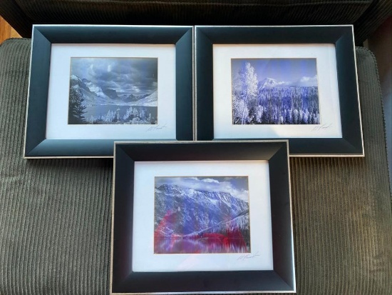 3 Framed Signed Landscape Photos