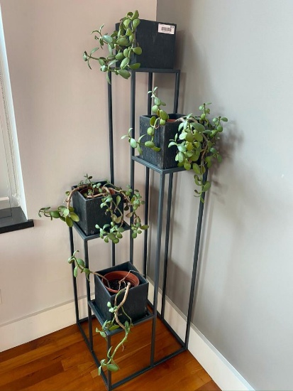 Crate And Barrel 4 Tier Plant Stand