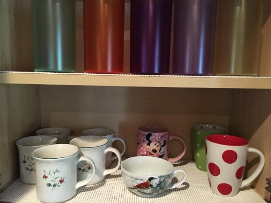 14 pc Misc Cups and Plastic Ice Tea Classes