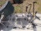 Cooler, 2 Metal Carts, Metal Stands