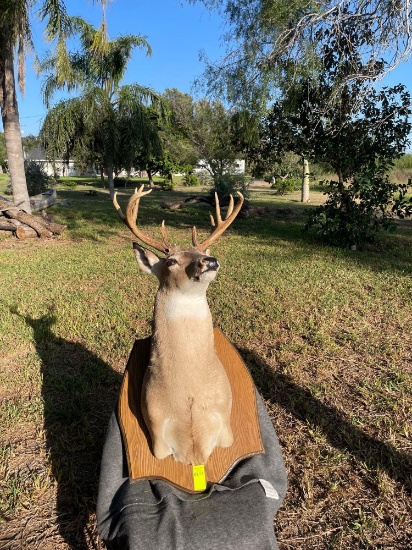 Deer Decor