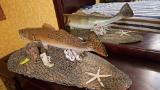 Taxidermy Decor