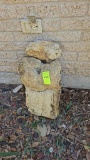 Petrified Wood