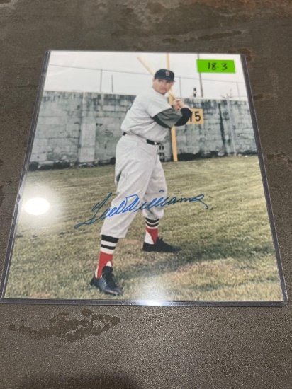 Ted Williams Baseball Picture