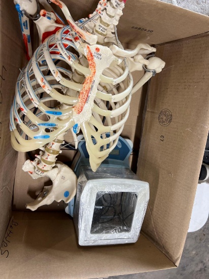Anatomy Equipment