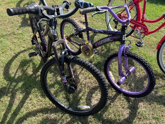 Inspire Genesis Bike and Mongoose Excursion 24" Bike