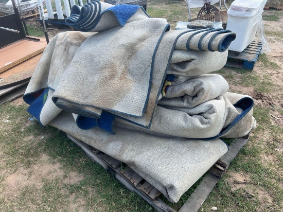 Carpet