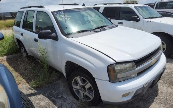 2006 Chevrolet TrailBlazer Multipurpose Vehicle (MPV), VIN # 1GNDS13S962315768