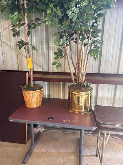 Table & Plant Decor