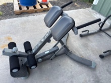 45 Degree Back Hyperextension