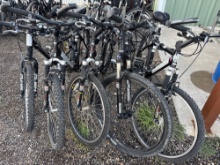 (5) Bicycles