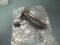Premier Medical Jackson Tracheostomy Tube #9 !