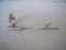 Seimens Reusable Biopsy Needle Guide Ultrasound probe !