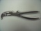 SURGICAL GLUCK RIB SHEARS!