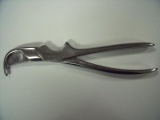 SURGICAL GLUCK RIB SHEARS!