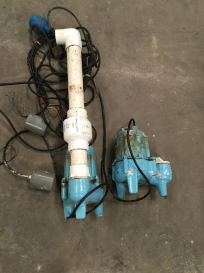 Pair of Water Pumps
