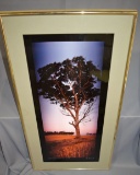 Large Ken Duncan Framed Panograph