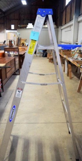 Werner Aluminum ladder