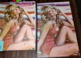 FARRAH FAWCETT JIGSAW PUZZLE - COMPLETE