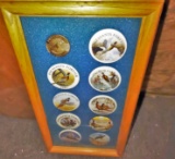 FRAMED PHEASANTS FOREVER PINS - PICK UP ONLY