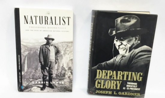 THEODORE ROOSEVELT NONFICTION