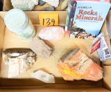 PETRIFIED WOOD AND MISCELLANEOUS