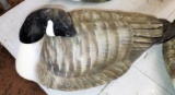 LARGE GREEN HEAD CANADIAN GOOSE DECOY -  PICK UP ONLY