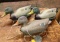 LARGE ITALIAN SPORT PLAST DUCK DECOYS - PICK UP ONLY