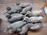 DUCK DECOYS - PICK UP ONLY