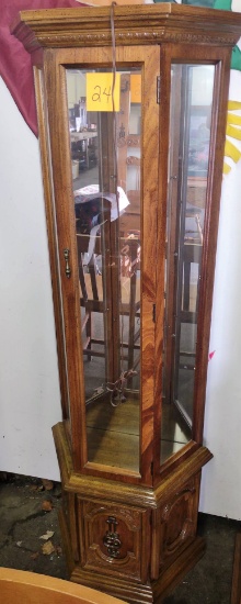 CURIO CABINET- LIGHTS UP with 3 GLASS SHEVLES- PICK UP ONLY