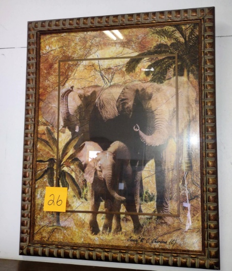 JONNIE CHARDONN ELEPHANT PRINT ' PICK UP ONLY