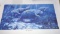VINTAGE ARTIST SIGNED BARRY BARNETT 172/500 MANATEE LOOSE PRINT - PICK UP ONLY