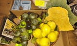 VINTAGE GRAPES, ETC. - PICK UP ONLY