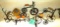 BICYCLE DECOR
