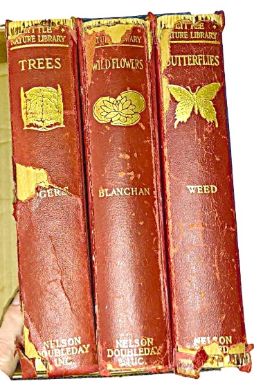 EARLY 1900's BUTTERFLIES, FLOWERS, TREES BOOKS "AS IS"