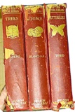 EARLY 1900's BUTTERFLIES, FLOWERS, TREES BOOKS 