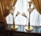 PAIR OF TALL DIRECTIONAL BRASS LAMPS - PICK UP ONLY