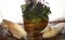 DECORATIVE ITEMS - PICK UP ONLY