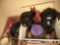 2 COFFEE PORTABLE AIRPOTS, SUN TEA GLASS JAR,  ETC. - PICK UP ONLY