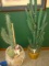 FAUX PLASTIC CACTUS - PICK UP ONLY