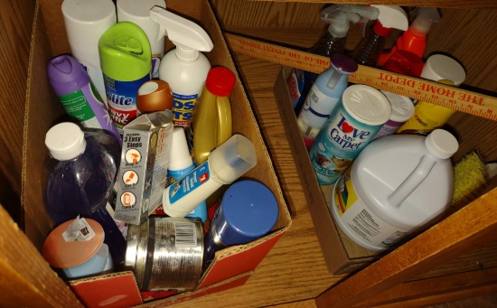 2 BOXES OF CLEANING SUPPLIES - PICK UP ONLY