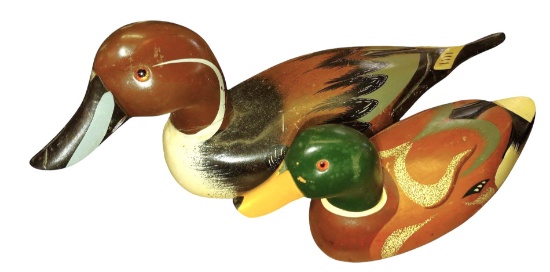 DUCKS - PICK UP ONLY
