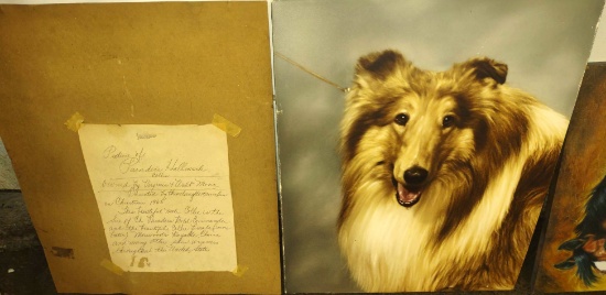 SIRE TO MANY UNITED STATES COLLIE WINNERS (No Frame) - PICK UP ONLY