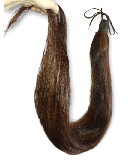 HORSE TAIL EXTENTION