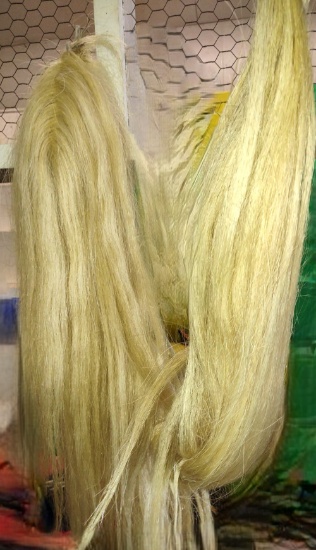 HORSE TAIL EXTENTION