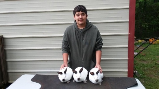 Fryer Rabbit - Gabriel Rangel - Grapeland FFA